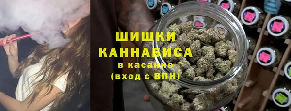 гашик Кодинск