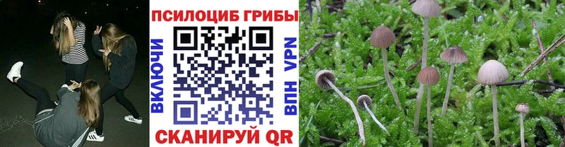 Галлюциногенные грибы ЛСД  где купить наркоту  Рошаль 