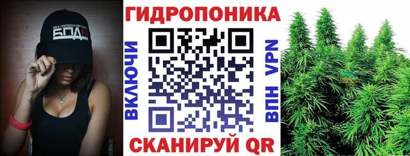 Бошки марихуана Bruce Banner  Рошаль 