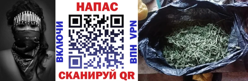 Марихуана конопля Рошаль